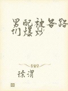 男配被各路大佬们爆炒