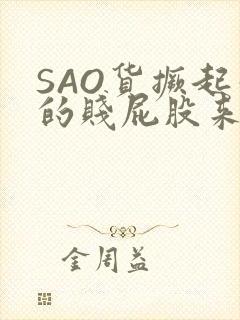 SAO货撅起你的贱屁股来