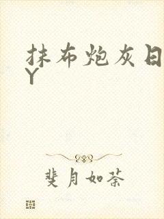 抹布炮灰日记BY