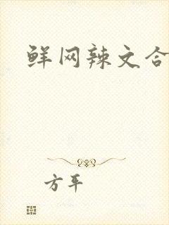 鲜网辣文合集