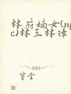 林府嫡女(npc)林玉林璋