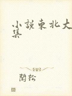 小说东北大炕全集