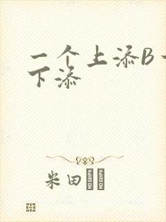 一个上添B一个下添