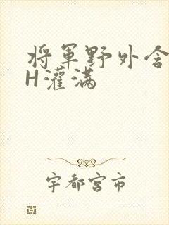 将军野外含公主H灌满