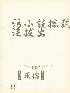 污小说总裁整夜没拔出