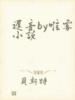 迟音by唯雾的小说