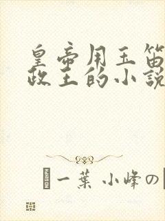 皇帝用玉笛整摄政王的小说