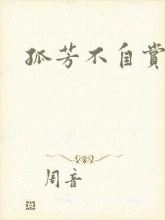 孤芳不自赏小说