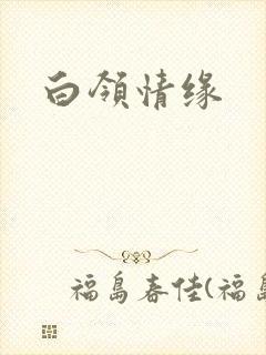 白领情缘