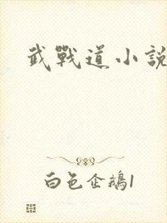 武战道小说