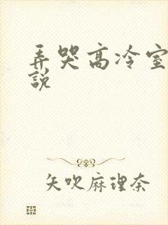 弄哭高冷室友小说