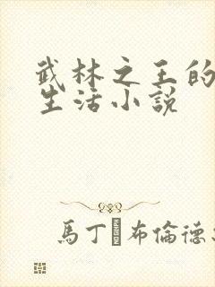 武林之王的退隐生活小说