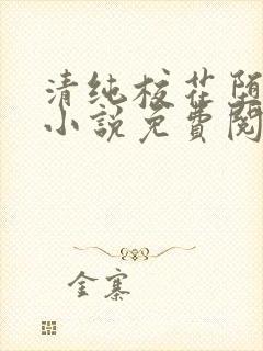 清纯校花堕落记小说免费阅读