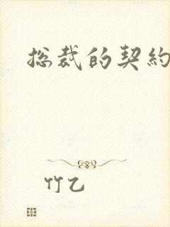 总裁的契约情人