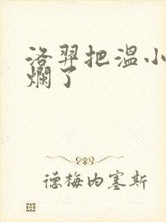 洛羿把温小辉做烂了