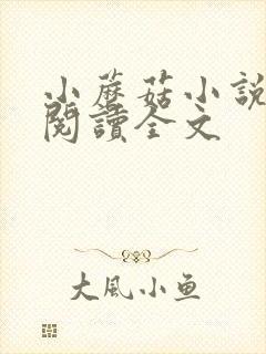 小蘑菇小说免费阅读全文