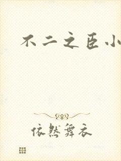 不二之臣小说