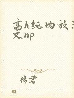 高h纯肉放荡h文np