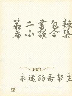 第二书包辣网短篇小说合集