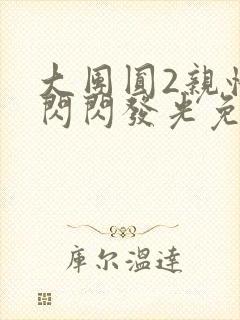 大团圆2亲情会闪闪发光免费