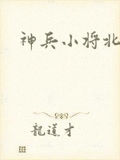 神兵小将北冥雪