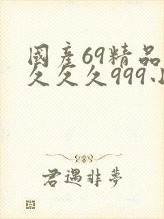 国产69精品久久久久999小说
