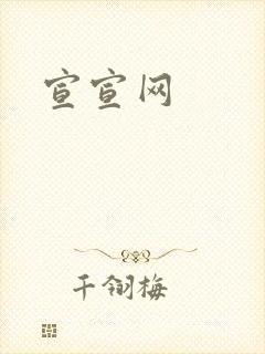 宣宣网