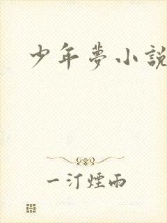 少年梦小说