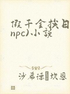 假千金挨日记(npc)小说