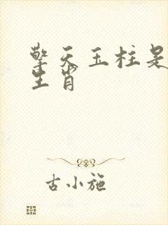 擎天玉柱是什么生肖