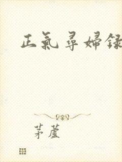 正气寻妇录
