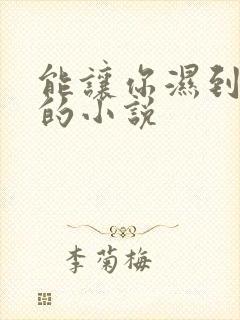 能让你湿到不行的小说