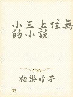 小三上位无三观的小说