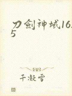 刀剑神域16.5