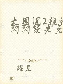 大团圆2亲情会闪闪发光免费