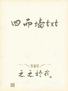 四面墙txt