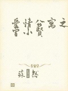 爱情公寓之极品曾小贤