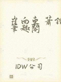 崔向东 萧错 笔趣阁