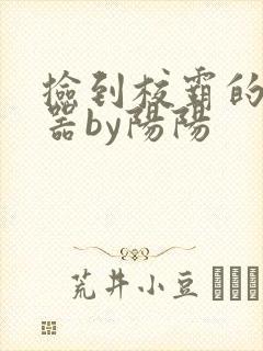 捡到校霸的遥控器by阳阳