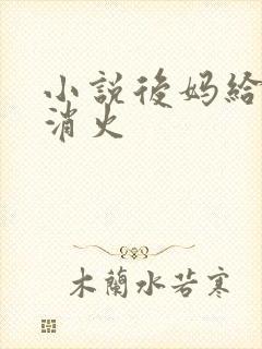 小说后妈给我消消火