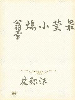 翁熄小莹最新节章