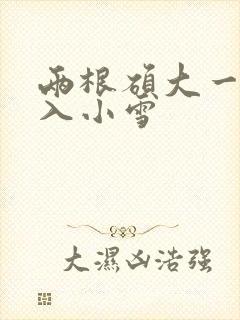 两根硕大一起挤入小雪