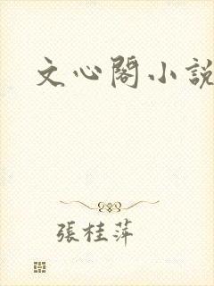 文心阁小说