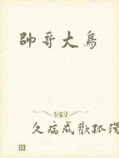 帅哥大鸟