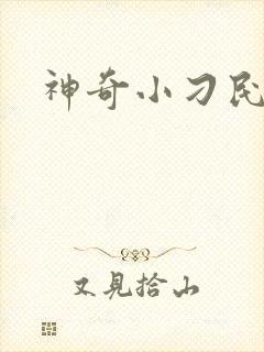 神奇小刁民