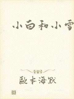 小白和小雪