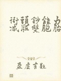 街头钞能力无删减版双胞胎