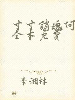 寸寸销魂何生祥全本免费