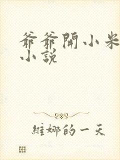 爷爷开小米的包小说