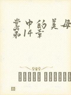 掌中的美母版主第14章